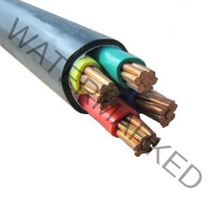 Coleman-50mm-Armoured-Cable-per-metre-1-1.jpg